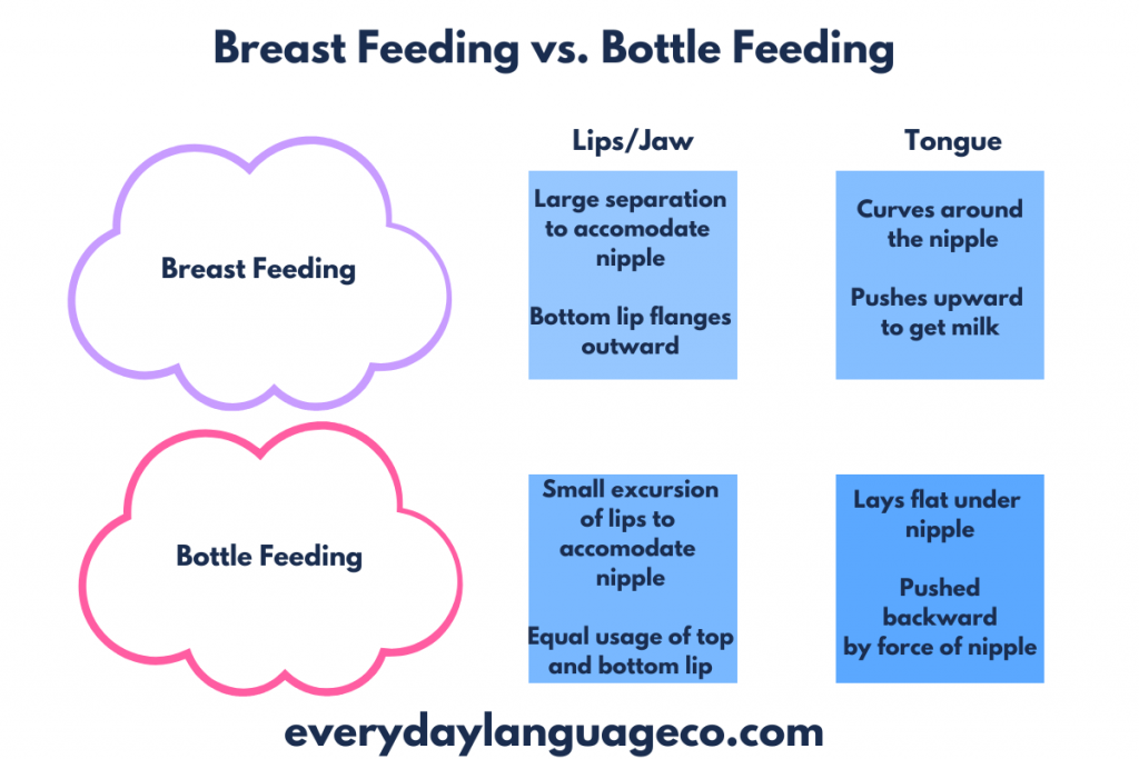 comparison of breast feeding and bottle feeding for speech and oral motor development